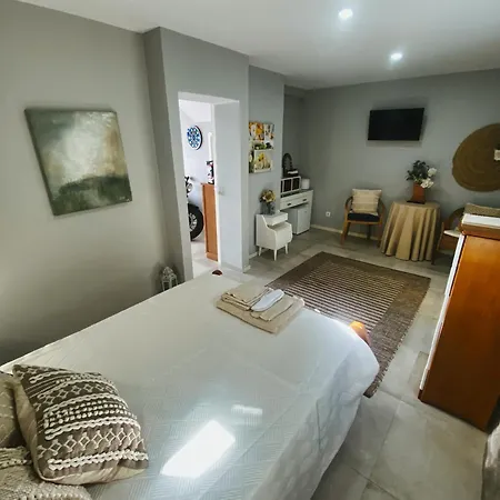 En-suite Bedroom And Garage In Center Oporto